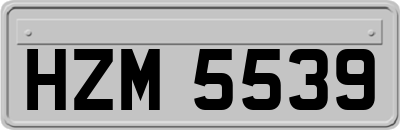 HZM5539