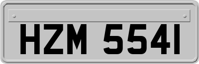 HZM5541