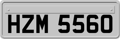 HZM5560