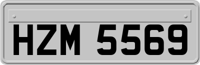 HZM5569