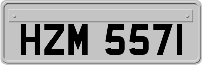 HZM5571
