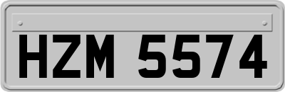 HZM5574