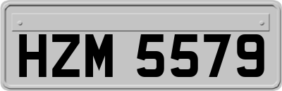 HZM5579
