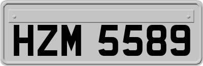 HZM5589