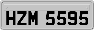 HZM5595