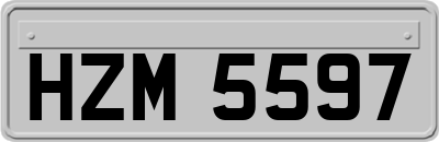 HZM5597