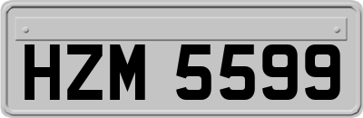 HZM5599
