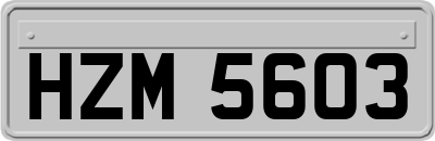 HZM5603