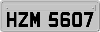 HZM5607
