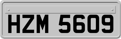 HZM5609