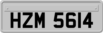 HZM5614
