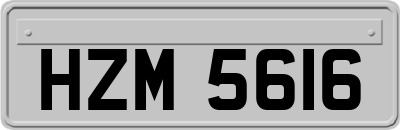 HZM5616