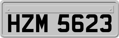 HZM5623