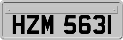 HZM5631