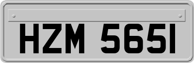 HZM5651