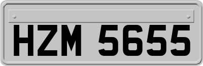 HZM5655