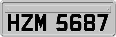 HZM5687
