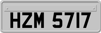 HZM5717