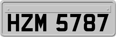 HZM5787
