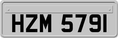 HZM5791