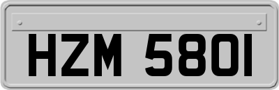HZM5801