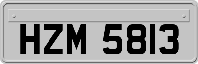 HZM5813