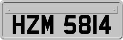 HZM5814