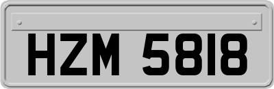 HZM5818