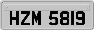 HZM5819