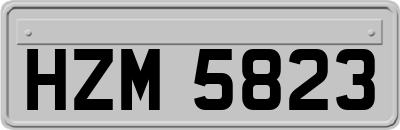 HZM5823