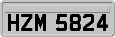HZM5824