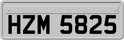 HZM5825