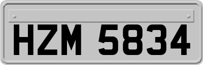 HZM5834
