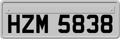 HZM5838