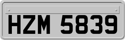 HZM5839