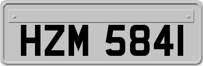 HZM5841