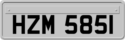 HZM5851