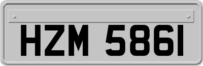 HZM5861