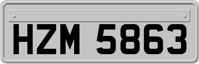 HZM5863