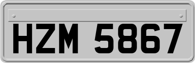 HZM5867