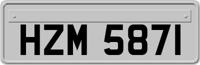 HZM5871