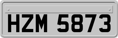 HZM5873