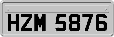 HZM5876