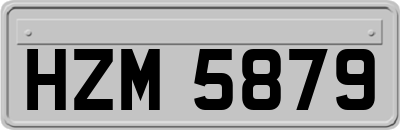 HZM5879
