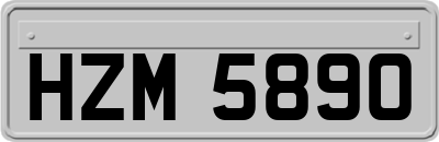 HZM5890