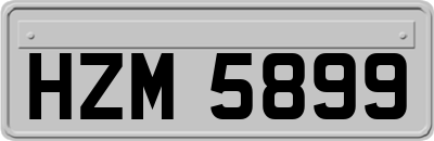 HZM5899