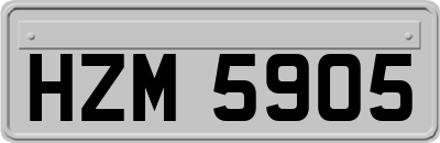 HZM5905