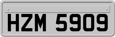 HZM5909
