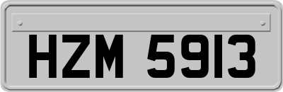 HZM5913