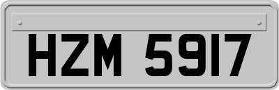 HZM5917